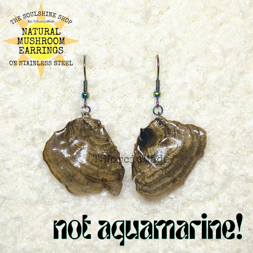 Not Aquamarine! Natural Mushroom Earrings